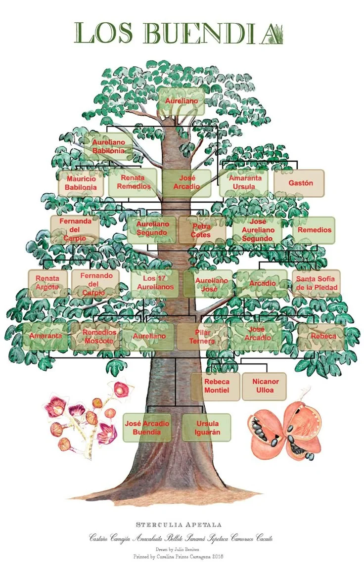 Arbol genealogico familia Buendia Cien anos soledad Árbol genealógico familia Buendía Cien años soledad
