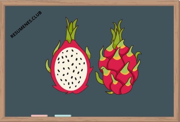 PITAYA MADURA PITAYA MADURA