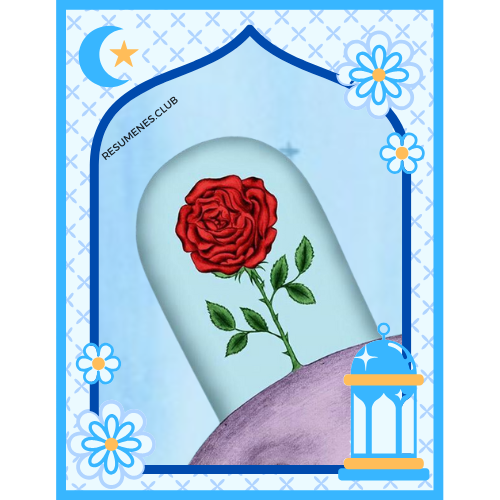 rc rosa principito 2 rc rosa principito 2